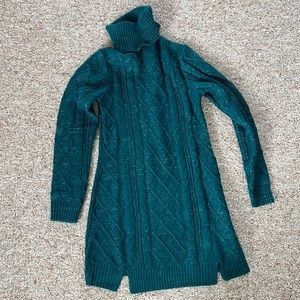 Francesca’s Blue Rain Green Turtle Neck Sweater Dress
